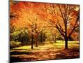 Wood Mount