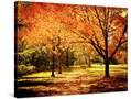 Stretched Canvas