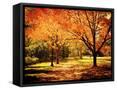 Canvas Black