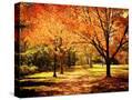 Stretched Canvas