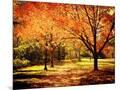 Wood Mount