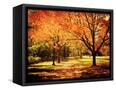 Canvas Black
