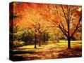 Stretched Canvas