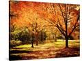 Stretched Canvas