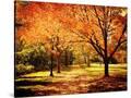 Stretched Canvas
