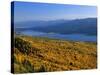 Autumn Larch Trees over Hungry Horse Reservoir, Swan Mts., Hungry Horse Montana, USA-Chuck Haney-Stretched Canvas