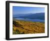 Autumn Larch Trees over Hungry Horse Reservoir, Swan Mts., Hungry Horse Montana, USA-Chuck Haney-Framed Photographic Print