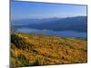 Autumn Larch Trees over Hungry Horse Reservoir, Swan Mts., Hungry Horse Montana, USA-Chuck Haney-Mounted Photographic Print