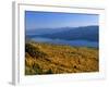 Autumn Larch Trees over Hungry Horse Reservoir, Swan Mts., Hungry Horse Montana, USA-Chuck Haney-Framed Photographic Print