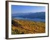 Autumn Larch Trees over Hungry Horse Reservoir, Swan Mts., Hungry Horse Montana, USA-Chuck Haney-Framed Photographic Print
