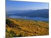 Autumn Larch Trees over Hungry Horse Reservoir, Swan Mts., Hungry Horse Montana, USA-Chuck Haney-Mounted Photographic Print