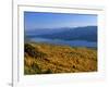 Autumn Larch Trees over Hungry Horse Reservoir, Swan Mts., Hungry Horse Montana, USA-Chuck Haney-Framed Photographic Print