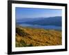 Autumn Larch Trees over Hungry Horse Reservoir, Swan Mts., Hungry Horse Montana, USA-Chuck Haney-Framed Photographic Print