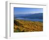 Autumn Larch Trees over Hungry Horse Reservoir, Swan Mts., Hungry Horse Montana, USA-Chuck Haney-Framed Photographic Print