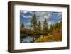 Autumn, Lava Island Falls Trail, Deschutes River, Deschutes National Forest, Oregon, USA-Michel Hersen-Framed Photographic Print