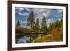 Autumn, Lava Island Falls Trail, Deschutes River, Deschutes National Forest, Oregon, USA-Michel Hersen-Framed Photographic Print