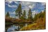 Autumn, Lava Island Falls Trail, Deschutes River, Deschutes National Forest, Oregon, USA-Michel Hersen-Mounted Photographic Print