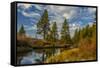 Autumn, Lava Island Falls Trail, Deschutes River, Deschutes National Forest, Oregon, USA-Michel Hersen-Framed Stretched Canvas
