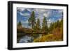 Autumn, Lava Island Falls Trail, Deschutes River, Deschutes National Forest, Oregon, USA-Michel Hersen-Framed Photographic Print