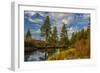 Autumn, Lava Island Falls Trail, Deschutes River, Deschutes National Forest, Oregon, USA-Michel Hersen-Framed Photographic Print