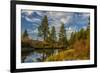 Autumn, Lava Island Falls Trail, Deschutes River, Deschutes National Forest, Oregon, USA-Michel Hersen-Framed Photographic Print