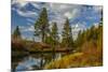 Autumn, Lava Island Falls Trail, Deschutes River, Deschutes National Forest, Oregon, USA-Michel Hersen-Mounted Photographic Print