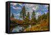 Autumn, Lava Island Falls Trail, Deschutes River, Deschutes National Forest, Oregon, USA-Michel Hersen-Framed Stretched Canvas