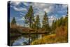 Autumn, Lava Island Falls Trail, Deschutes River, Deschutes National Forest, Oregon, USA-Michel Hersen-Stretched Canvas