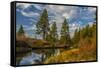 Autumn, Lava Island Falls Trail, Deschutes River, Deschutes National Forest, Oregon, USA-Michel Hersen-Framed Stretched Canvas