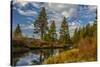 Autumn, Lava Island Falls Trail, Deschutes River, Deschutes National Forest, Oregon, USA-Michel Hersen-Stretched Canvas