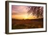 Autumn Lavender Field on Sunset-NejroN Photo-Framed Photographic Print