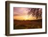 Autumn Lavender Field on Sunset-NejroN Photo-Framed Photographic Print