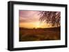 Autumn Lavender Field on Sunset-NejroN Photo-Framed Photographic Print