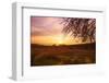 Autumn Lavender Field on Sunset-NejroN Photo-Framed Photographic Print