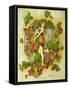 Autumn Leaf Fairy-Linda Ravenscroft-Framed Stretched Canvas