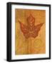 Autumn Leaf I-Marcia Rahmana-Framed Art Print