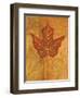 Autumn Leaf I-Marcia Rahmana-Framed Art Print