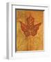 Autumn Leaf I-Marcia Rahmana-Framed Art Print