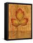 Autumn Leaf III-Marcia Rahmana-Framed Stretched Canvas