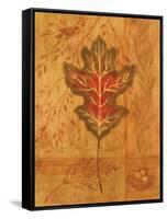 Autumn Leaf IV-Marcia Rahmana-Framed Stretched Canvas