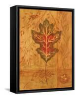 Autumn Leaf IV-Marcia Rahmana-Framed Stretched Canvas