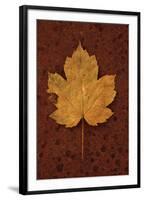 Autumn Leaf On Rust-Den Reader-Framed Premium Photographic Print