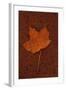 Autumn Leaf On Rust-Den Reader-Framed Photographic Print