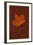 Autumn Leaf On Rust-Den Reader-Framed Photographic Print