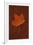 Autumn Leaf On Rust-Den Reader-Framed Premium Photographic Print