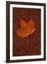 Autumn Leaf On Rust-Den Reader-Framed Premium Photographic Print