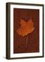 Autumn Leaf On Rust-Den Reader-Framed Photographic Print