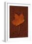 Autumn Leaf On Rust-Den Reader-Framed Photographic Print