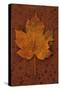 Autumn Leaf On Rust-Den Reader-Stretched Canvas