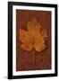 Autumn Leaf On Rust-Den Reader-Framed Photographic Print